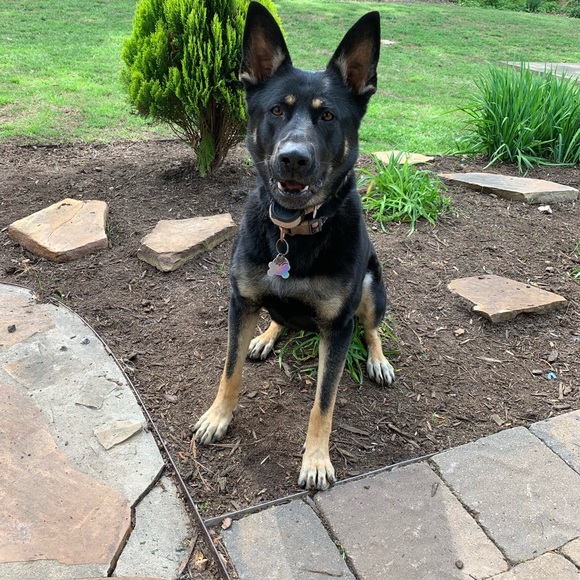 Meet your Posher, Hanna - Picture 5 of 15